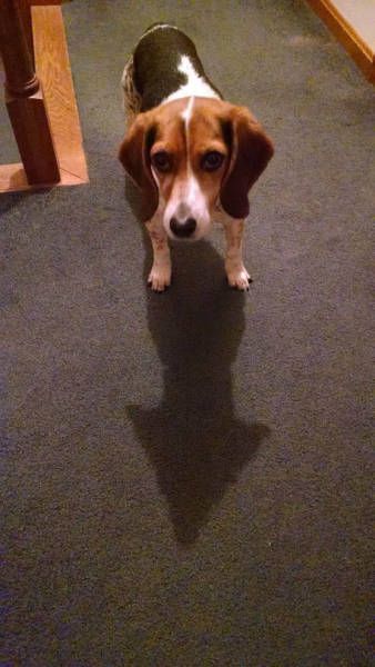 Прикольная фотоподборка (55 фото)