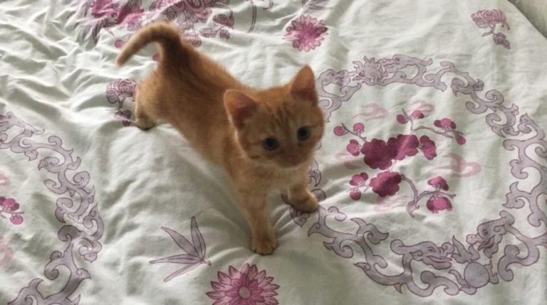 BeFunky-collage - 2020-04-21T095724.813