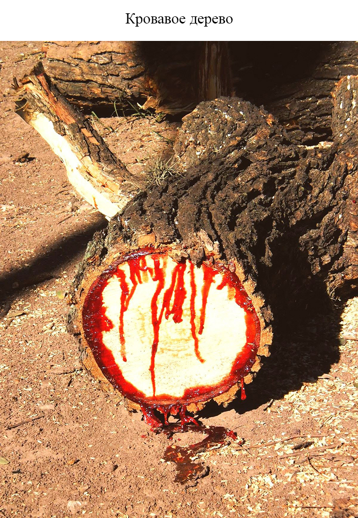 Вещи в разрезе... Вещи в разрезе... из жизни