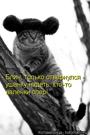 Котоматрица на Бугаге (28 фото)