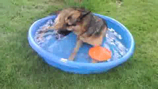 Подборка гифок Подборка гифок позитив