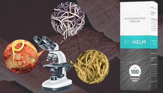 Преимущества и отличительные особенности BioHelm препарата от паразитов