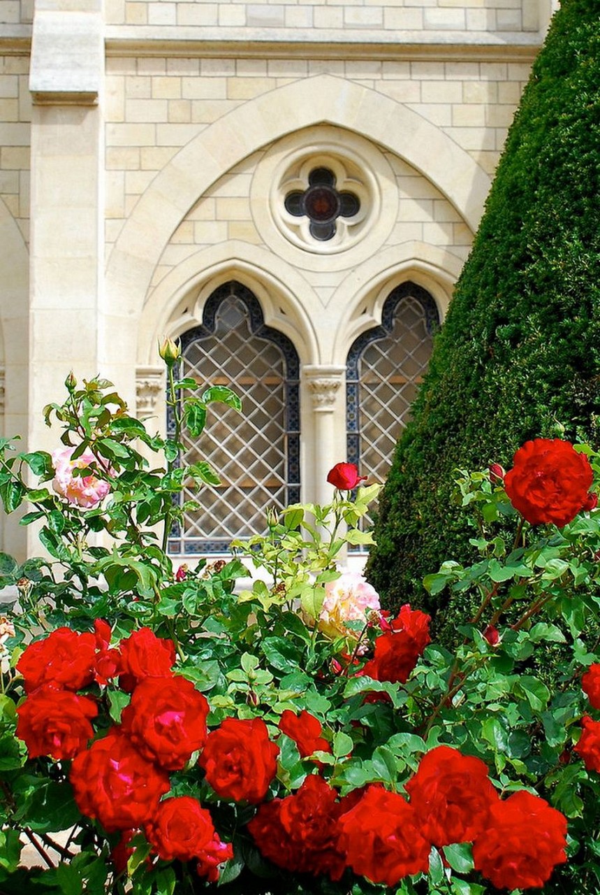 Краски Парижа. Вдохновение улиц Краски Парижа. Вдохновение улиц европа