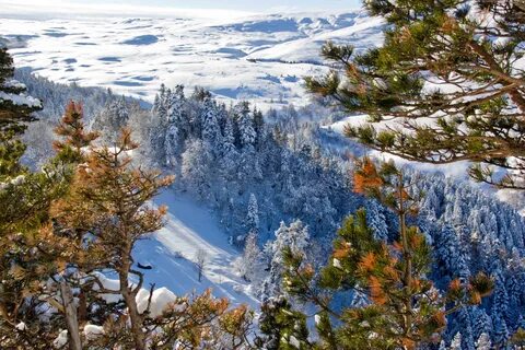 Адыгея Лагонаки зимой.