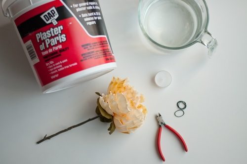 Что получится, если окунуть цветок в гипс, разведенный водой? Что получится, если окунуть цветок в гипс, разведенный водой? рукоделие,своими руками,сделай сам