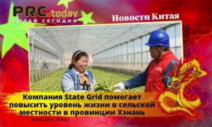 Компания State Grid