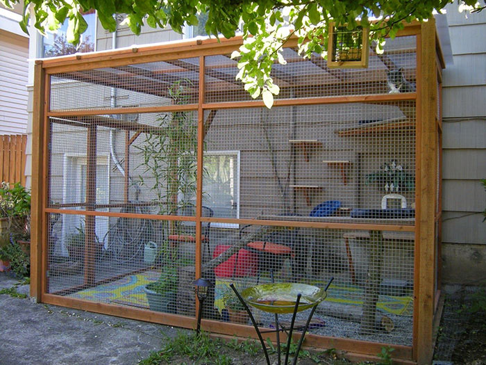  Что такое и как выглядит котио, игровая площадка для кошек на свежем воздухе №43 - BigPicture.ru