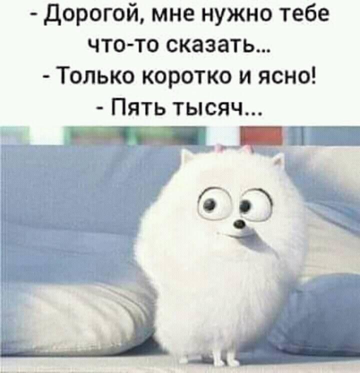 - Сынок, смотри: у меня 850 рублей, а у мамы 150 рублей... Весёлые,прикольные и забавные фотки и картинки,А так же анекдоты и приятное общение