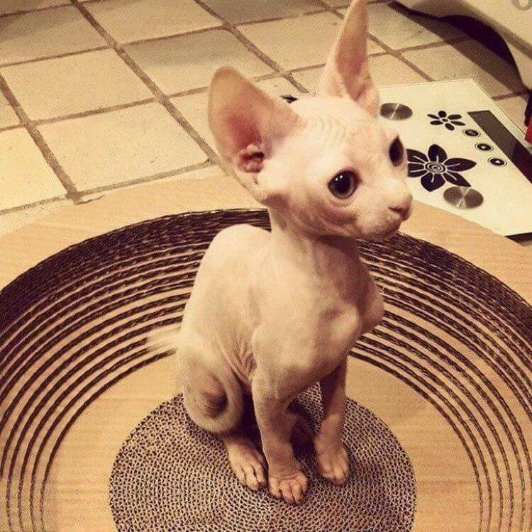 Подборка интересных и веселых картинок №42 Подборка интересных и веселых картинок №42 отдых