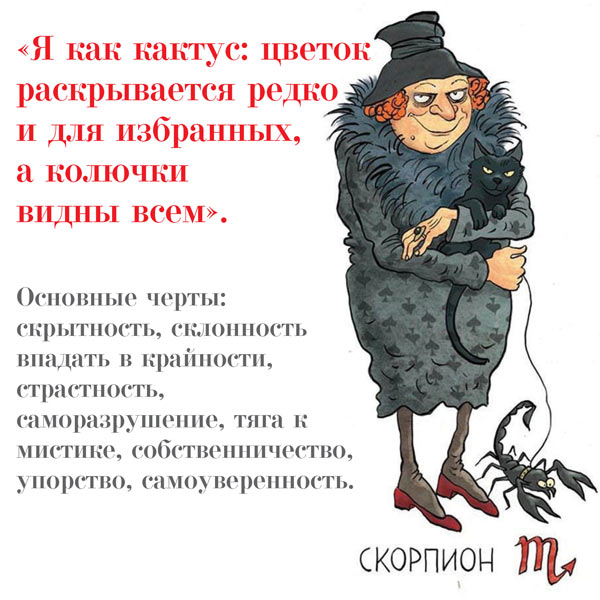 Знаки зодиака прикольные характеристики картинки, поздравлением