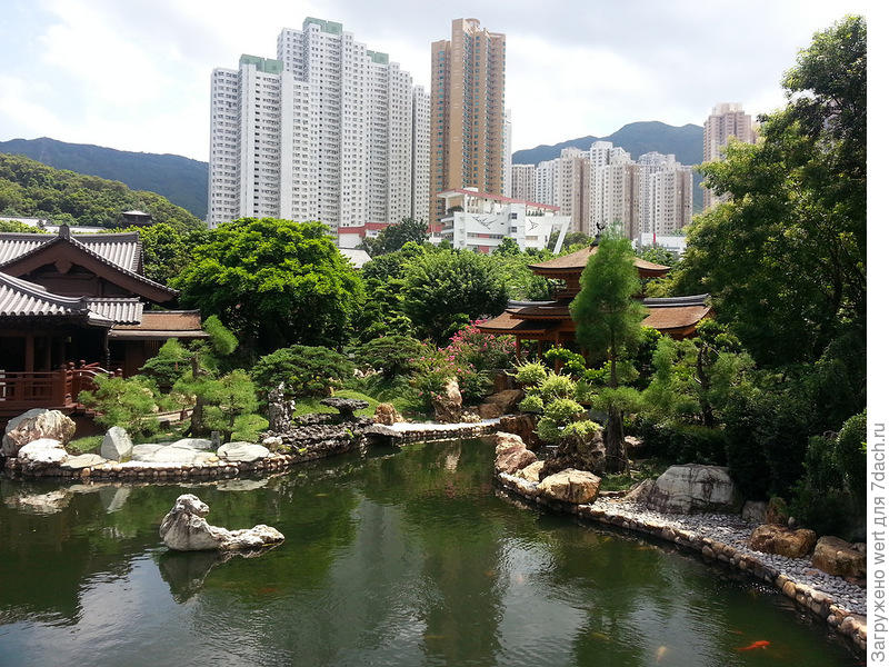 Китайский ландшафтный дизайн в стиле династии Танг здесь, может, очень, является, хочется, стиль, одном, стиле, дизайне, ландшафтном, чтобы, также, совершенно, каждого, этого, дерева, находится, Гонконга, принципам, заново