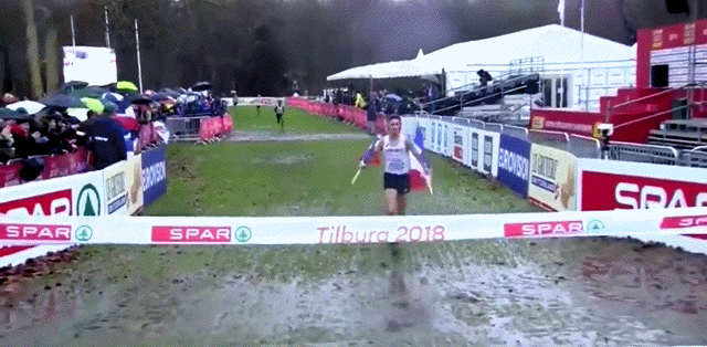 Подборка гифок Подборка гифок позитив