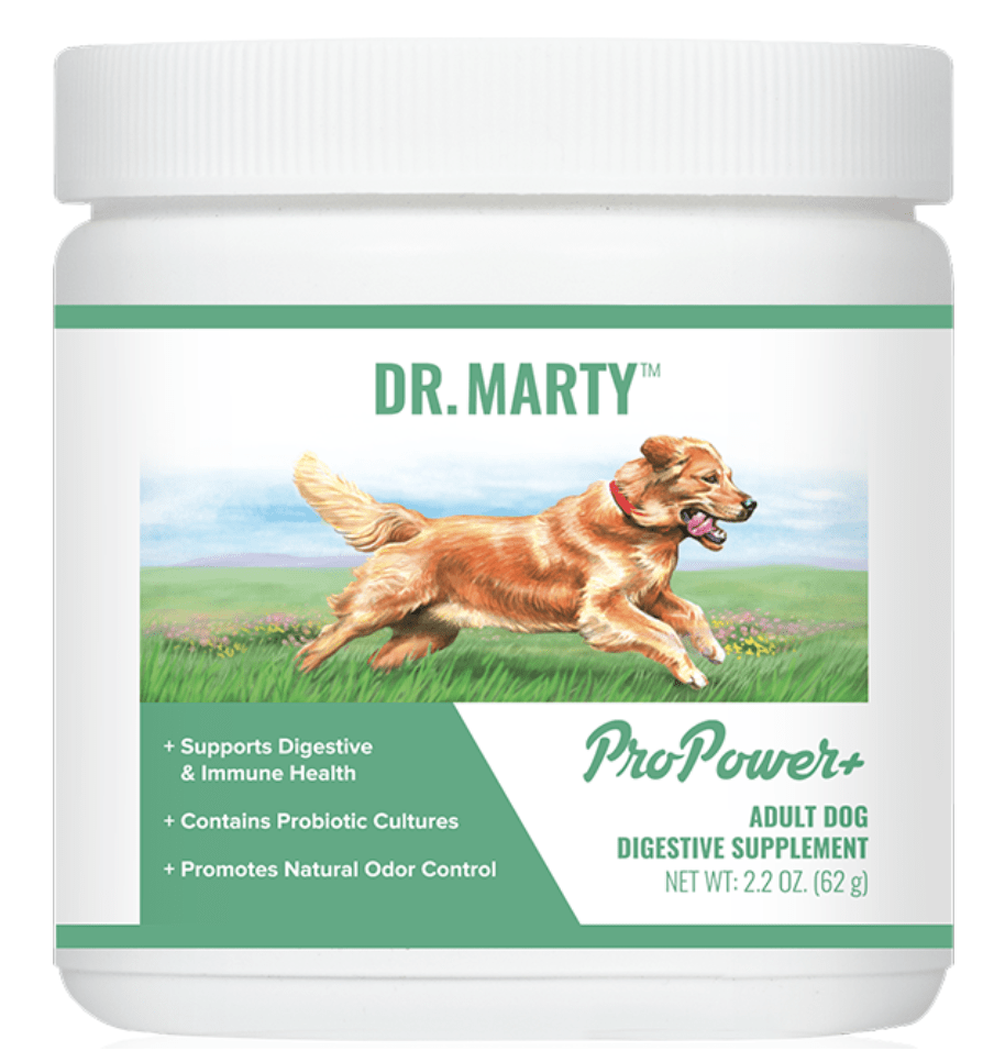 The Great Pyrenees at It's Dog or Nothing love Dr. Marty's ProPower Plus for optimal gut health.