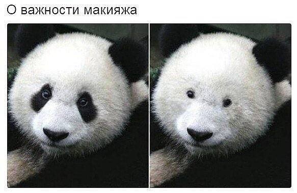 Подборка анекдотов и шуток в картинках Подборка анекдотов и шуток в картинках