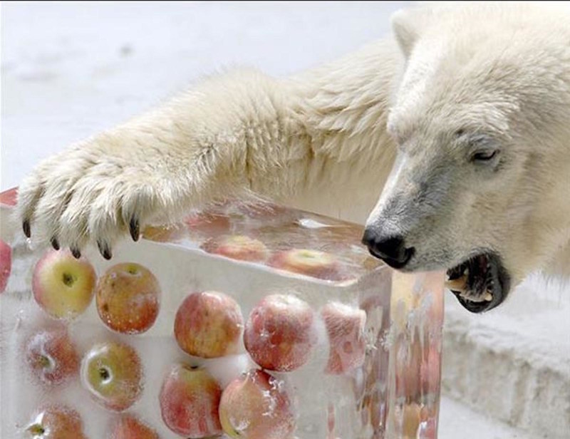 Ну, так, чисто поржать приколы, смех, юмор