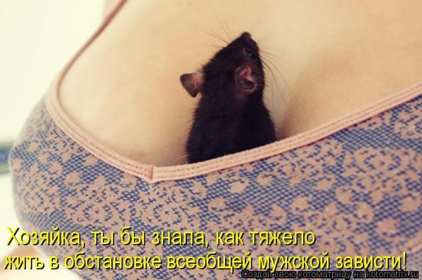 Мысли вслух :)