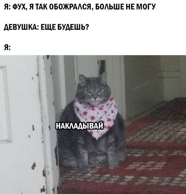 Подборка смешных картинок Подборка смешных картинок приколы,смешные картинки,юмор