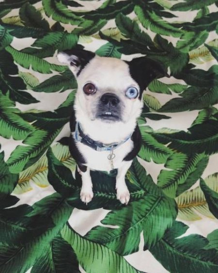 Прикольная фотоподборка (55 фото)