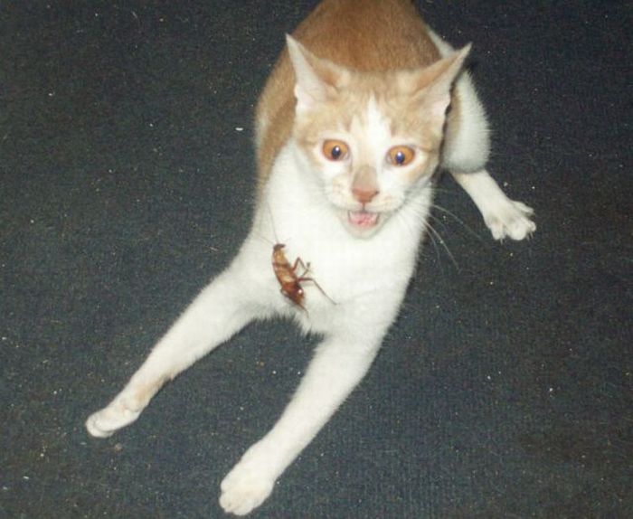 Давайте улыбаться вместе! :)