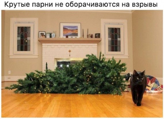 Прикольные ёлки на рабочем месте..