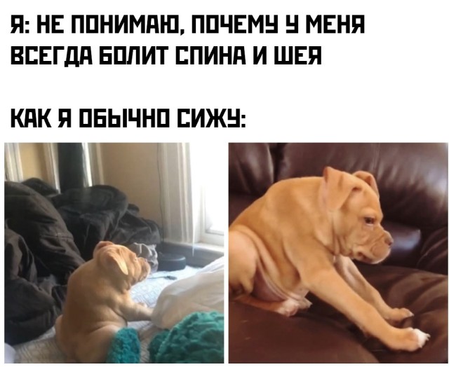 Подборка прикольных картинок Подборка прикольных картинок приколы,смешные картинки,юмор
