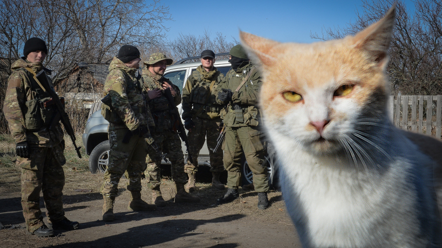 увольнение клип в питере пить. девушка из в питере пить. костюм проводницы. коллективное письмо образец. факсограмма ржд.