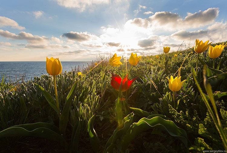Подборка милых картинок и красивых фотографий из сети красивые фотографии,прикольные картинки,шикарные фотографии