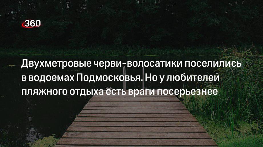 Врач-паразитолог Чернышева: личинки трематод могут вызвать у отдыхающих «зуд купальщика»