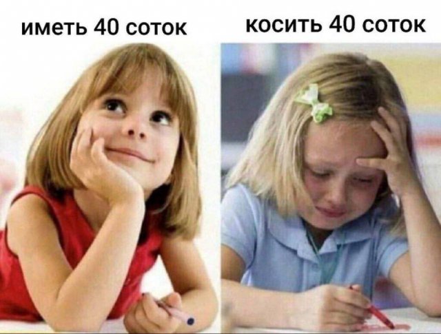 Смешные картинки с надписями и физика для чайников Смешные картинки с надписями и физика для чайников