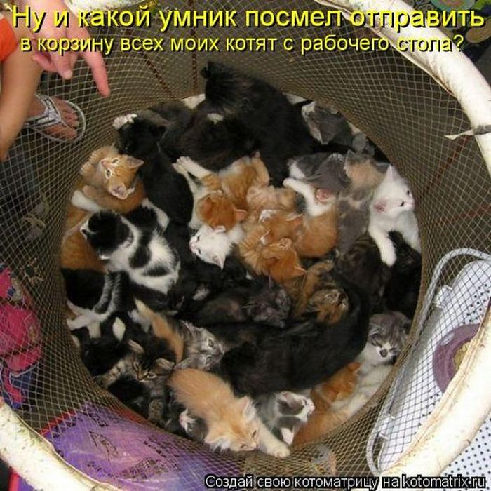 Мысли вслух :)