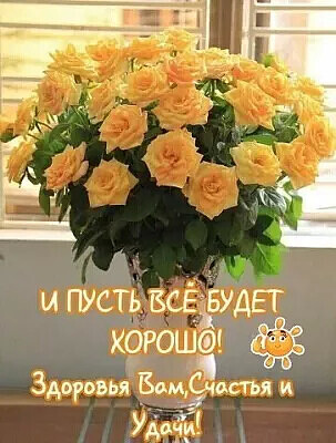 Подборка анекдотов и шуток в картинках