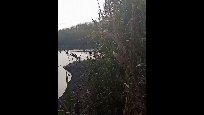 Video: Клип @donetskdnr_vk