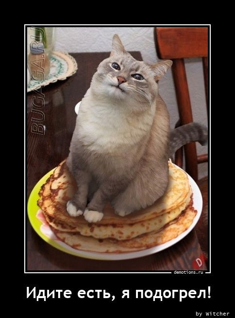 Демотиваторы-приколы в середине недели: «Мужчины все вещи обычно вешают на…»  