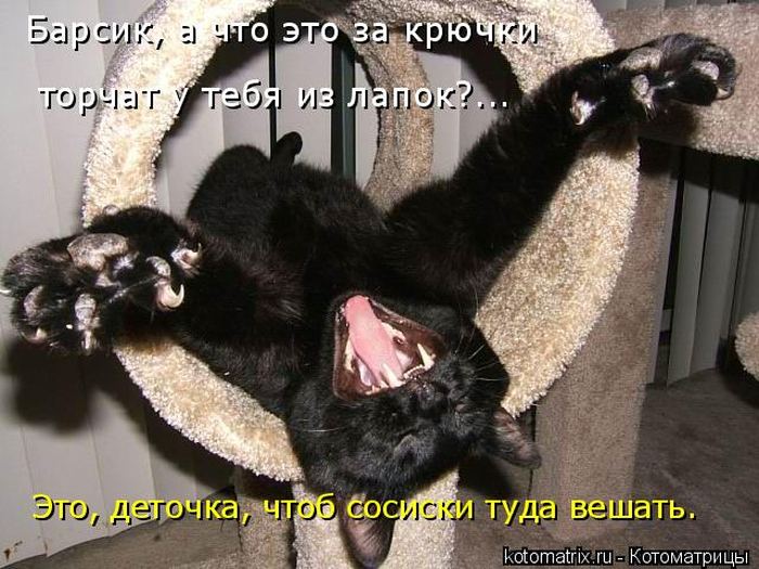 Мысли вслух :)