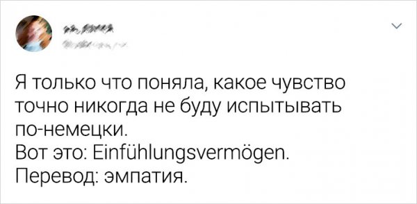 Подборка забавных твитов про иностранные языки