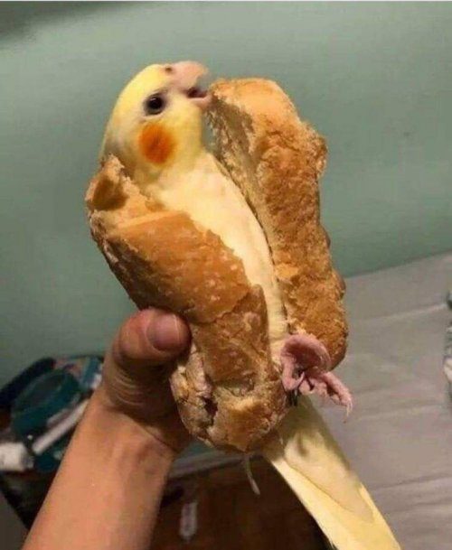 Что ты такое? Что ты такое?