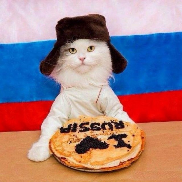 Подборка картинок. Вечерний выпуск (72 фото)