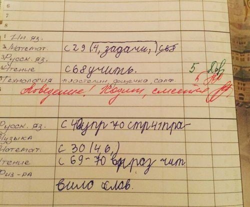 Смешные замечания из школьных дневников 