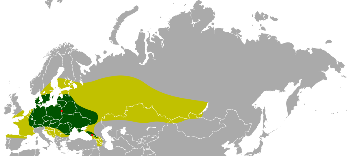 Жёлтое - распространение бизона в голоцене, зелёное - распространение в историческое время, 2 красные точки - распространение в 20 веке. 