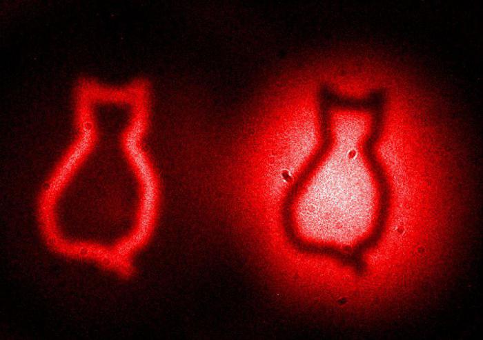 Квантовые камеры впервые помогли ученым сделать фото "призраков" доказательства