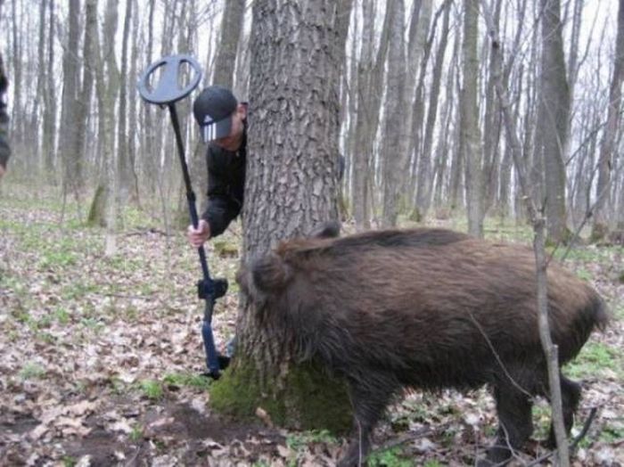 Забавные и прикольные картинки с фотографиями (11 фото)