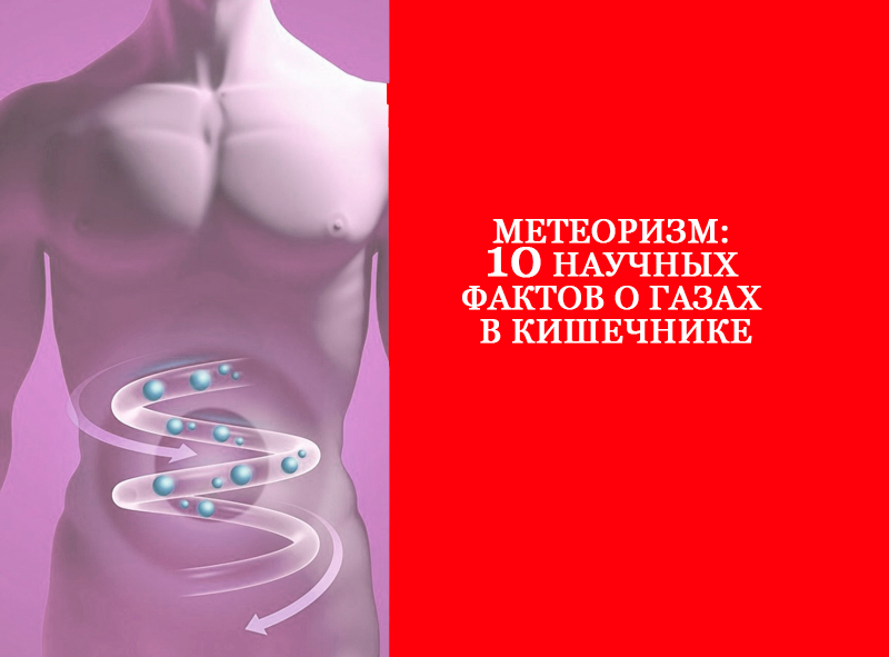 Метеоризм: 10 научных фактов о газах в кишечнике газы,здоровье, газообразование, кишечник, метеоризм