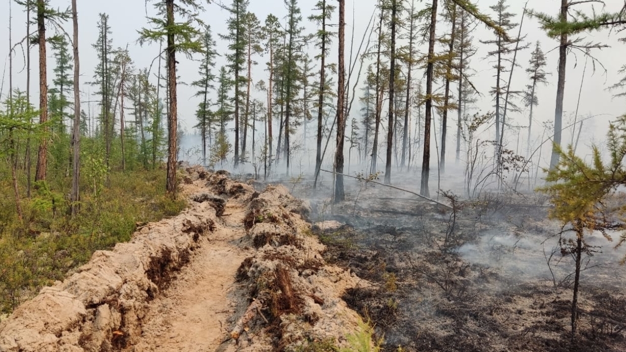 Новое уголовное дело против Жданова и Волкова. События дня Видео