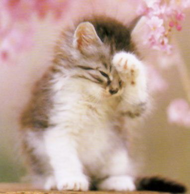 Забавности :) (49 штук)