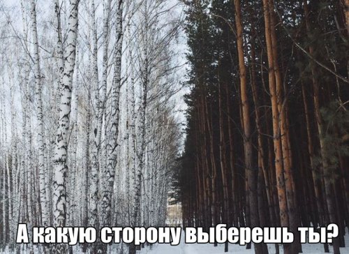 Прикольные и очень прикольные картинки (54 шт)