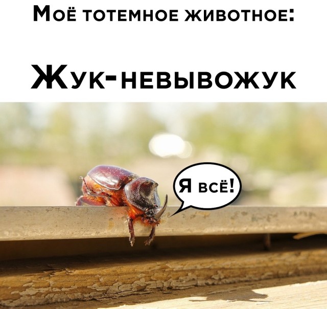 Подборка прикольных картинок Подборка прикольных картинок приколы,смешные картинки,юмор