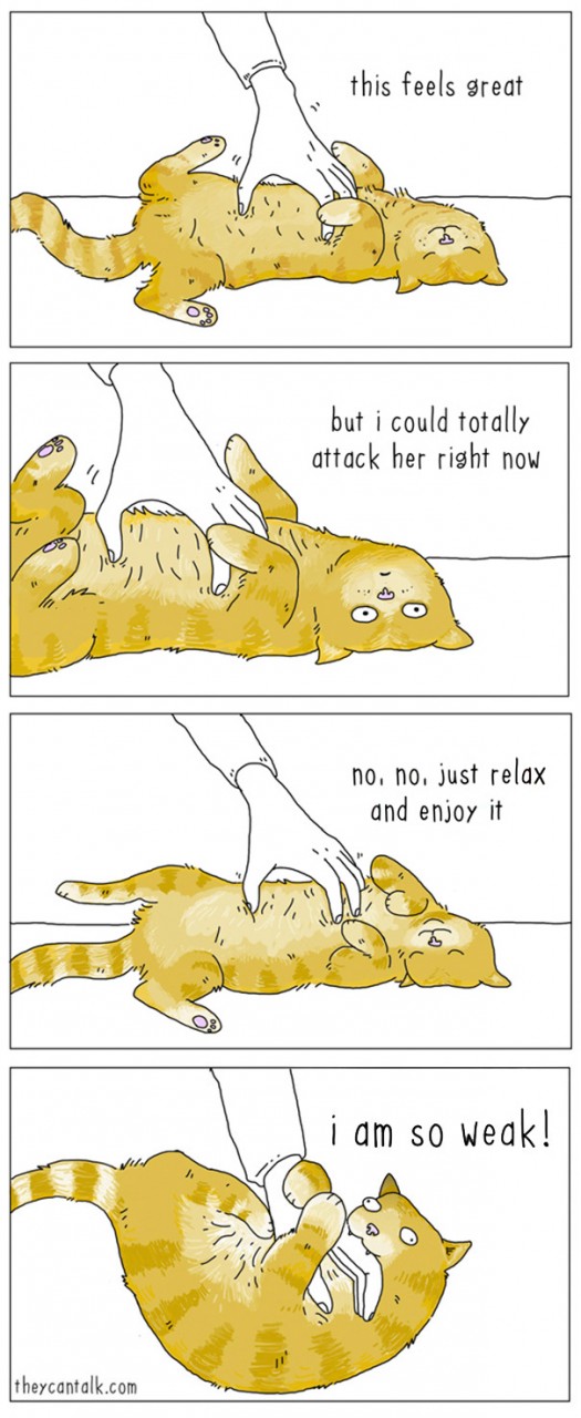 Funny Animal Comics