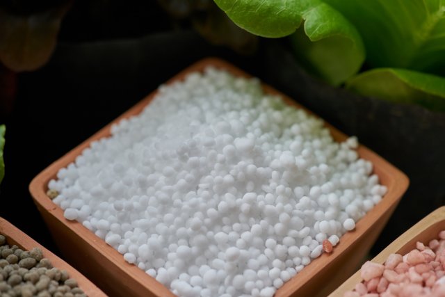 Удобрения для рассады – какие выбрать и как подкармливать растения