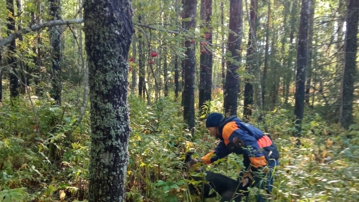 В Ленобласти спасатели вывели из леса потерявшуюся женщину