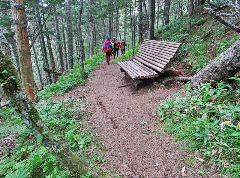 Кунашир: мыс Столбчатый Кунашир: мыс Столбчатый